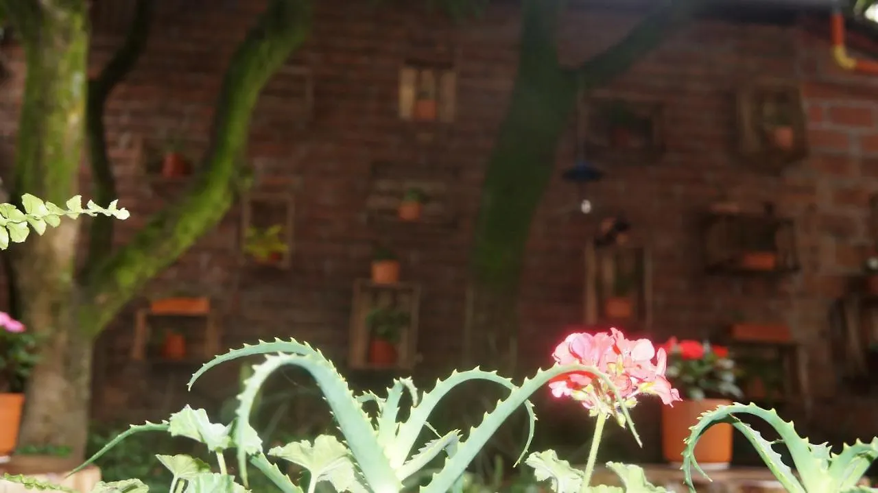 El Jardin De La 10 Hotel Medellin Guest house