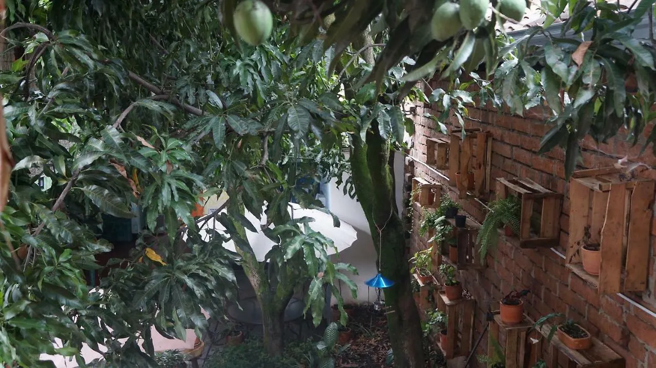 El Jardin De La 10 Hotel Medellin Guest house
